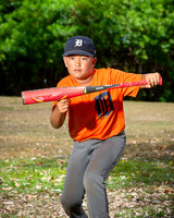 Individual Player Portrait